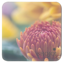 Load image into Gallery viewer, generated-preview-1