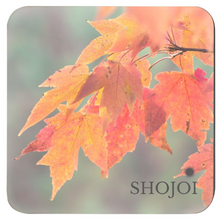 Load image into Gallery viewer, Fall Coaster Set