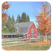 Load image into Gallery viewer, generated-preview-3