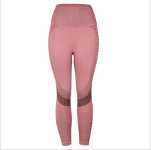 Load image into Gallery viewer, Baxter Seamless Sports Legging - Pink