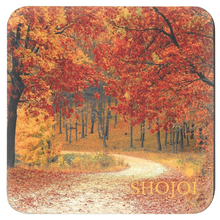 Load image into Gallery viewer, Fall Landscapes Coaster Set