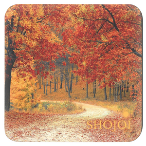 Fall Landscapes Coaster Set